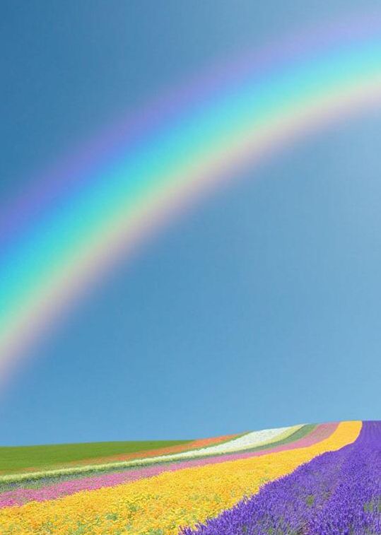 虹の画像